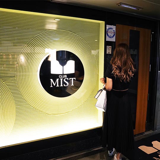 ヒューマンウエポン罪 / 源 あみか(ミスト ミナミ)