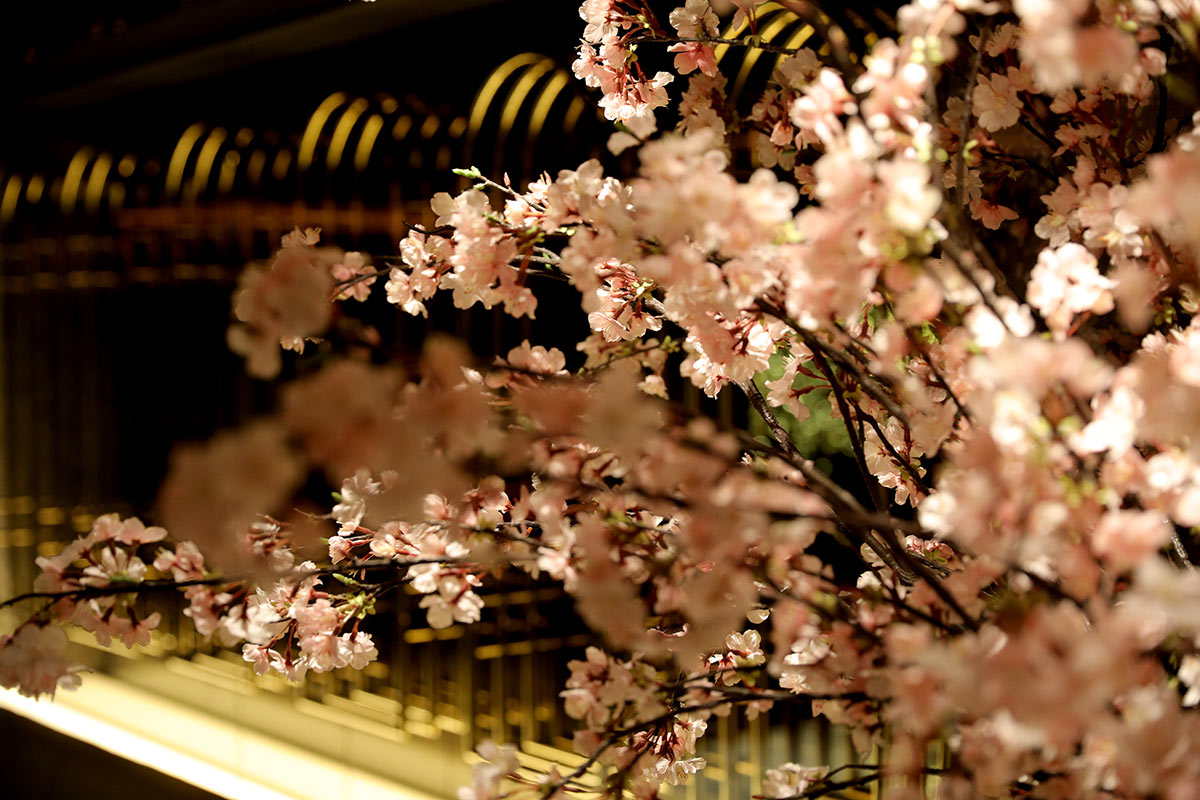 CLUB ミュゼルヴァ